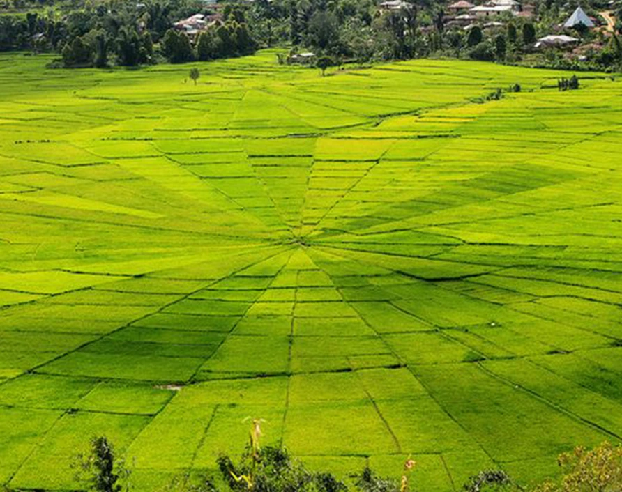 Cara Village – enjoy snorkeling among colorful coral reefs and relax on the unique pink sand during your Private Komodo Cruise.