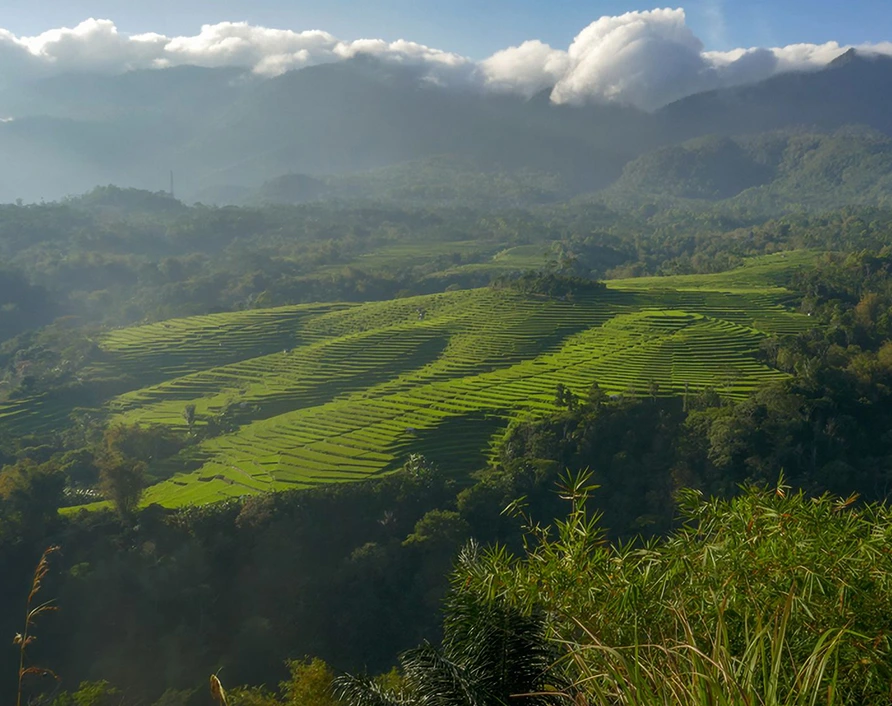 Golo Curu Hill – enjoy panoramic views of Ruteng and the surrounding Mandusawu Mountains, a peaceful pilgrimage site and scenic stop on your Flores Komodo Tour from Labuan Bajo.