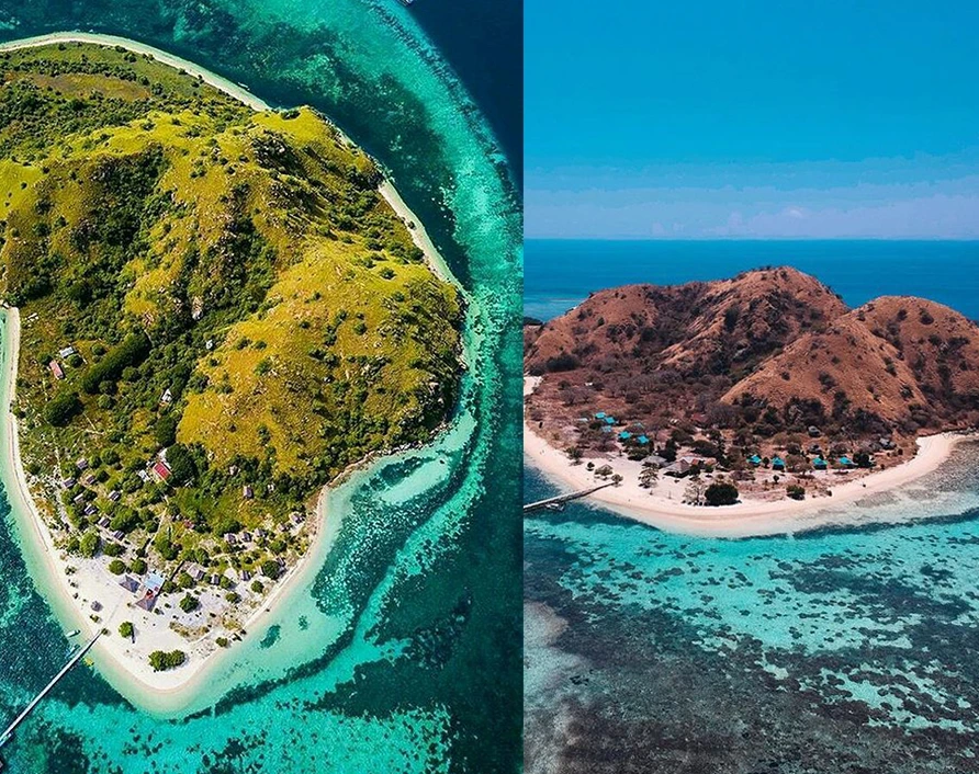 Pink Beach on Komodo Island – snorkeling paradise with pink sand and crystal-clear water