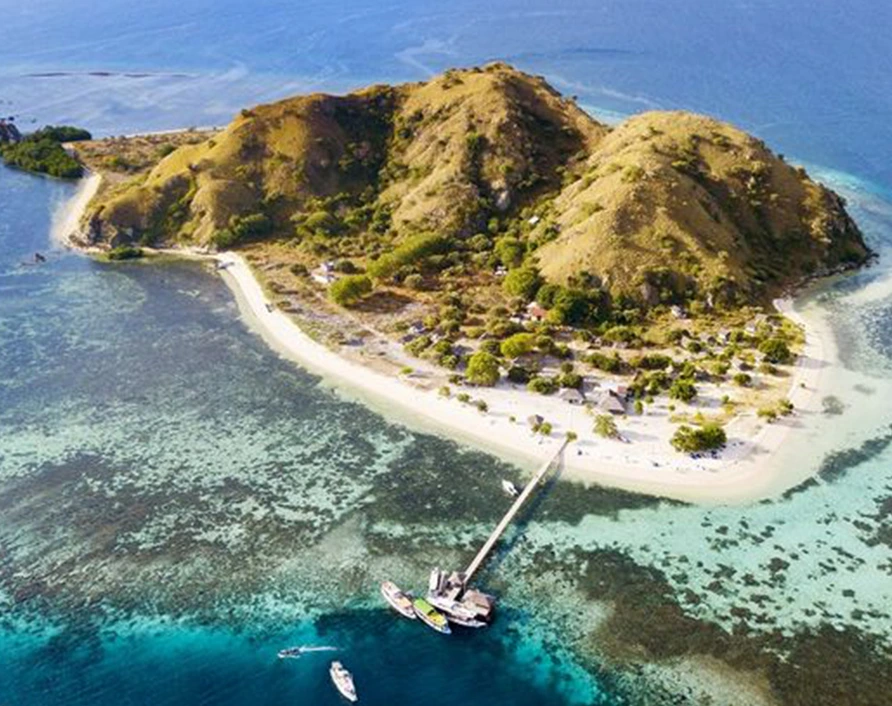 Snorkeling at Kanawa Island with vibrant marine life – Komodo Private Cruise from Labuan Bajo