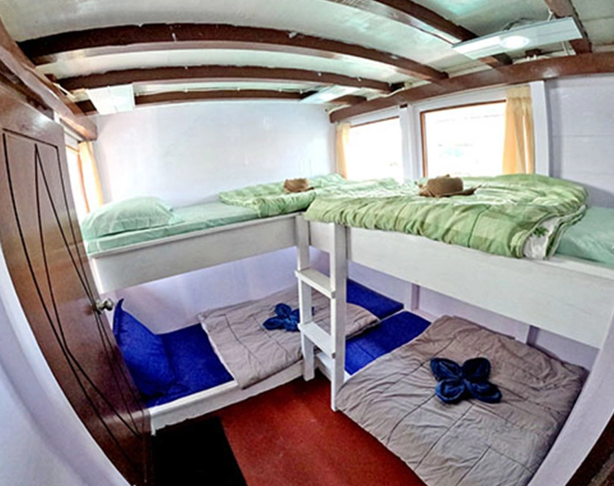 Komodo Tours with Superior Boat