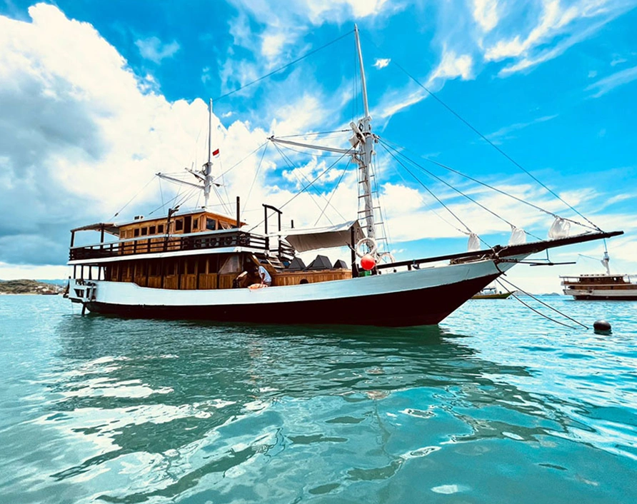 Superior Boat Komodo Tours