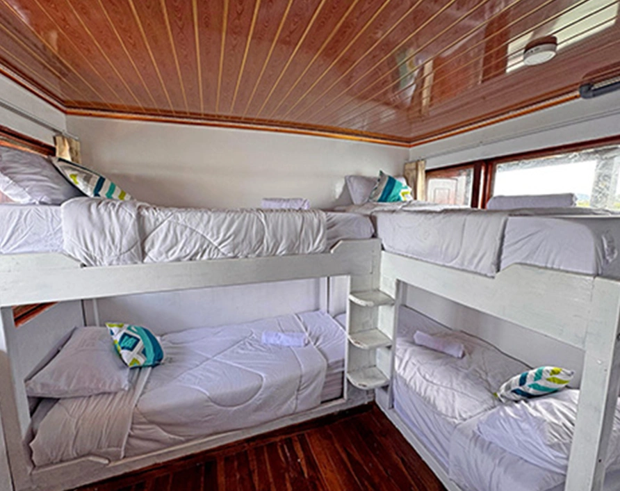 Komodo Tours with Superior Boat