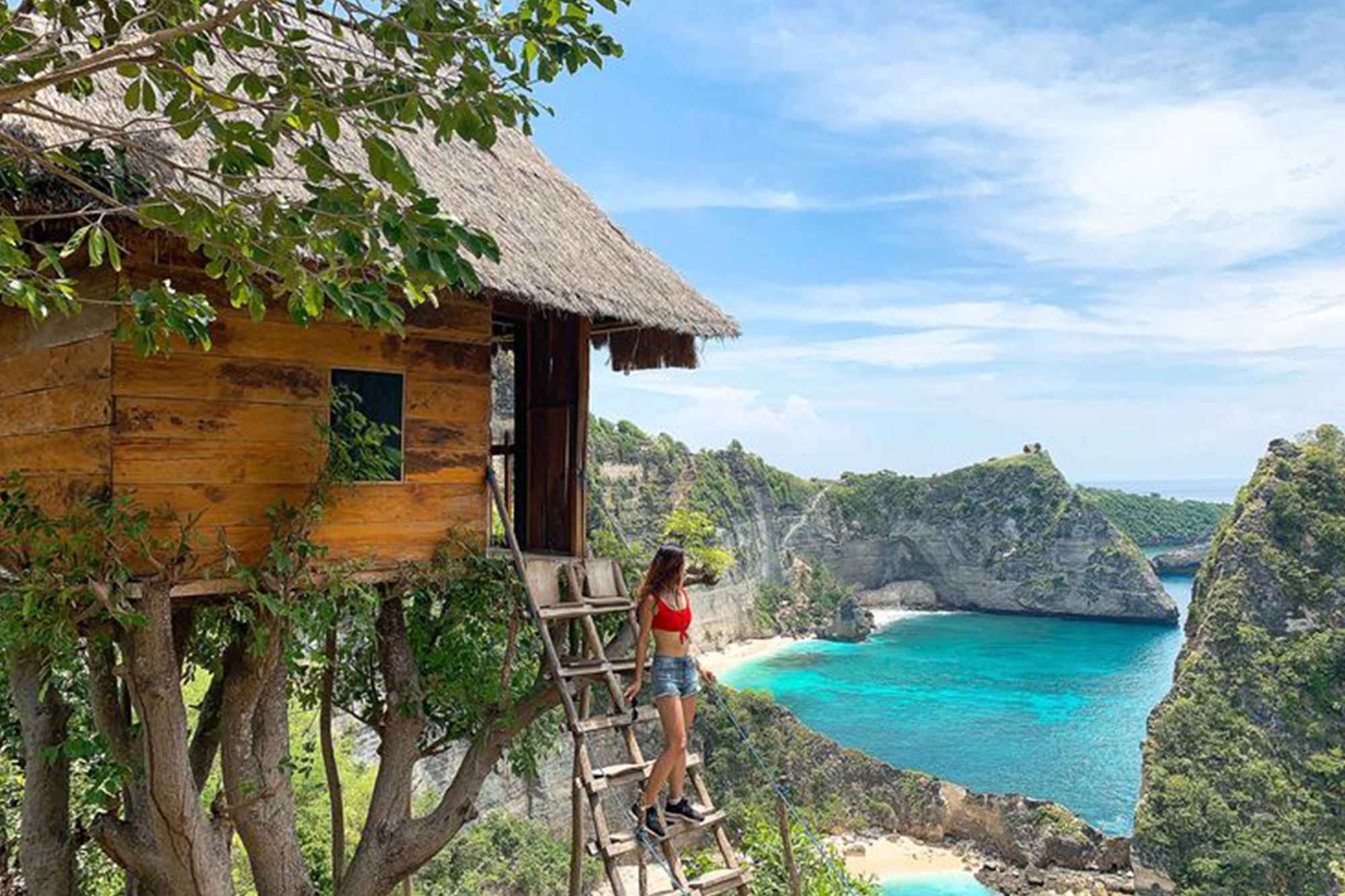 Tree House Nusa Penida Tour