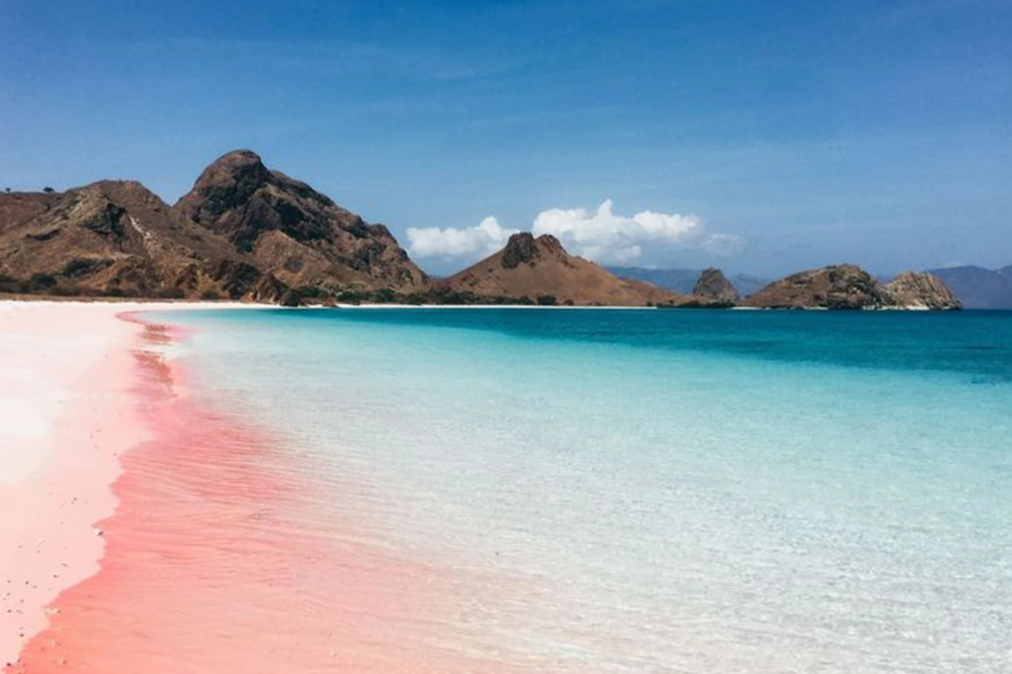 Pink Beach snorkeling in Komodo National Park