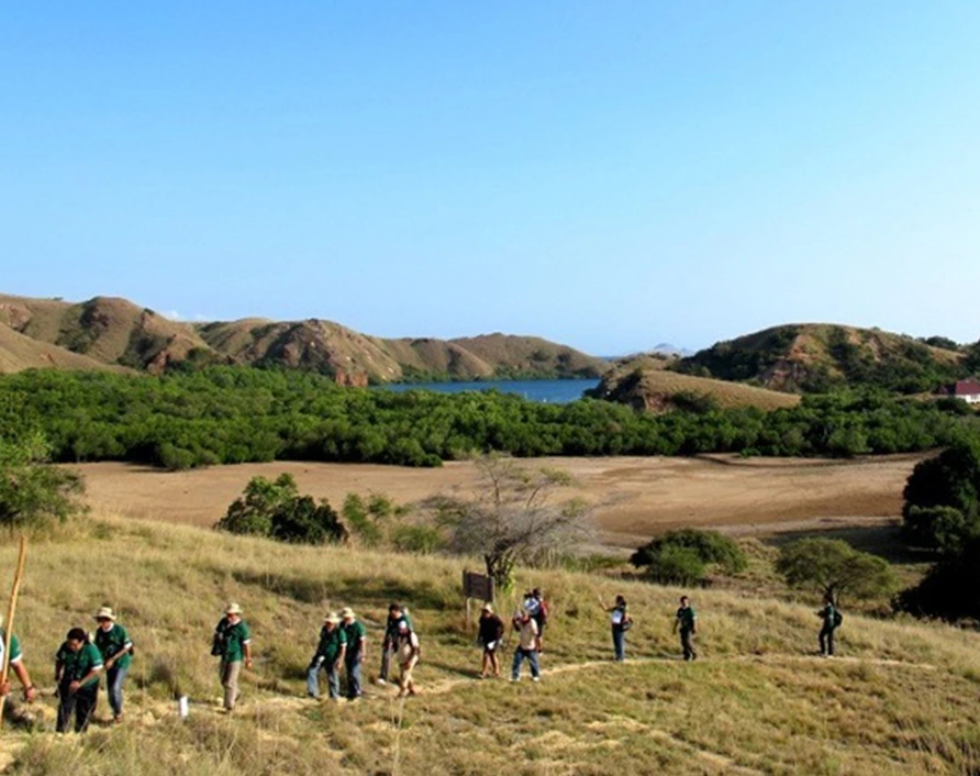 Rinca Island – encounter wild Komodo dragons guided by a professional Komodo boat tour guide