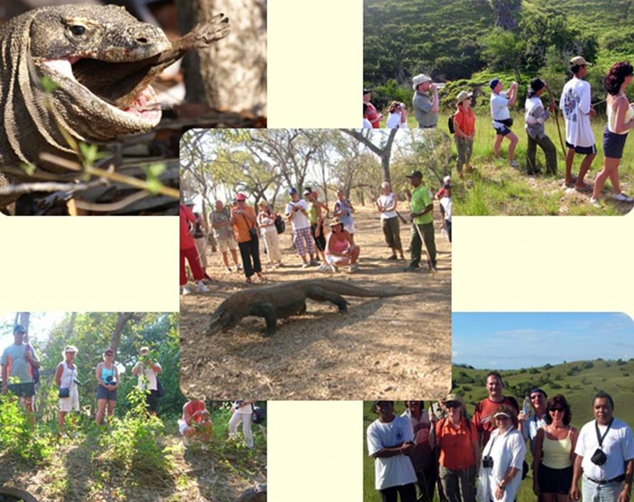 Rinca Island – explore the natural habitat of Komodo dragons with your professional guide, trek through savannah landscapes, and enjoy amazing views on your Private Komodo Cruise.