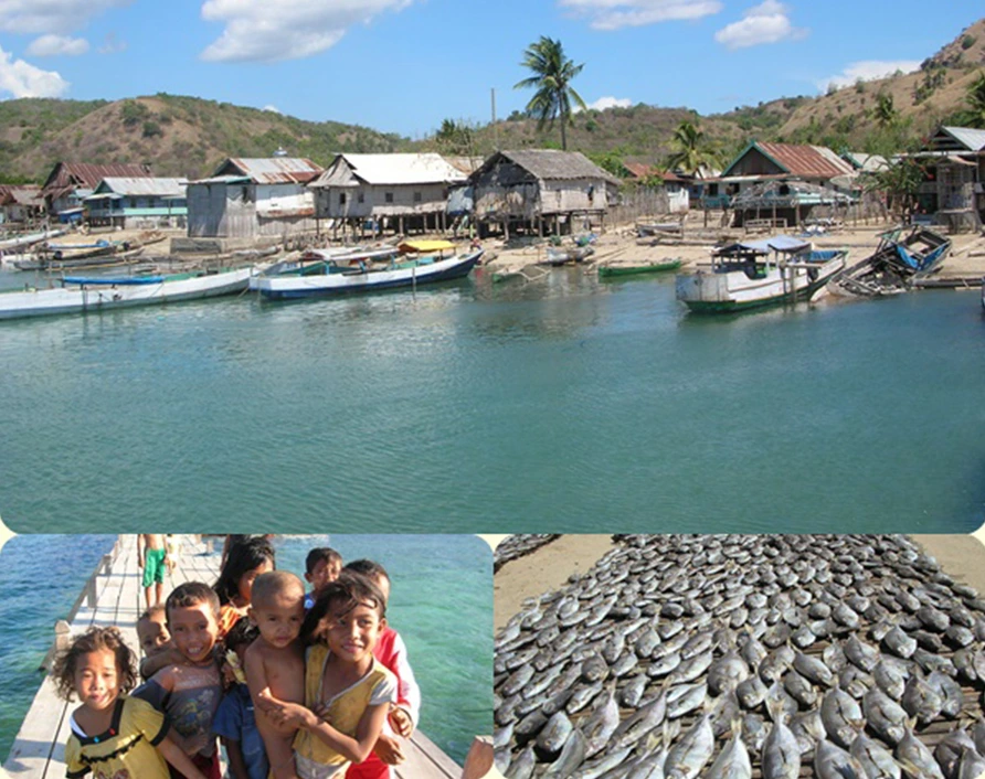 Rinca Village – discover local island life and traditional fishing culture during your Private Komodo Cruise